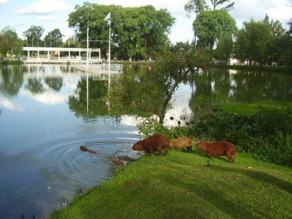 See und Park in Villarrica